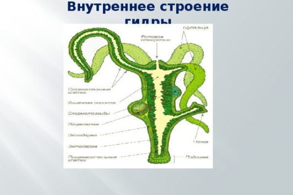 Кракен оренбург цены