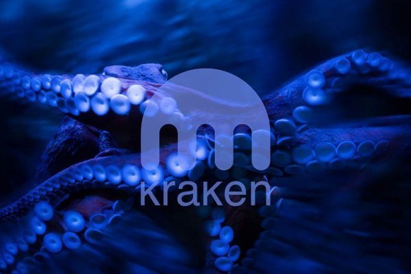 Buy kraken